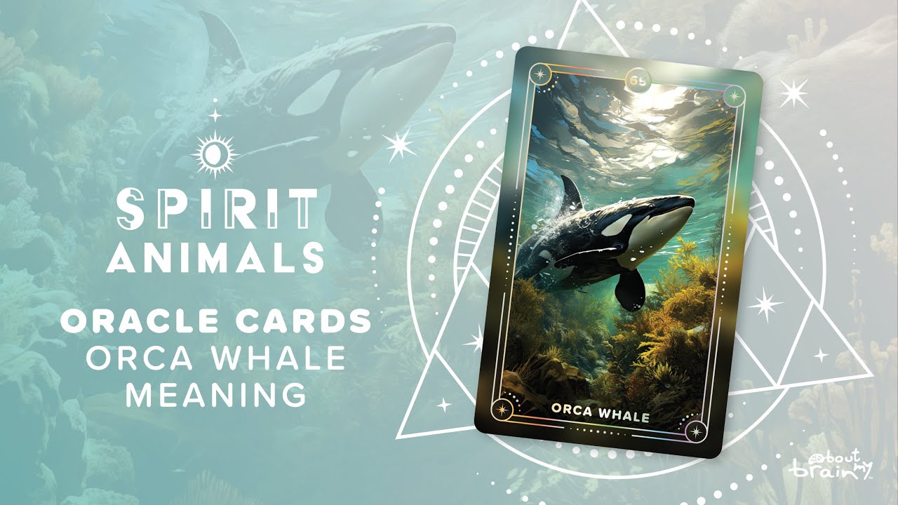 Orca Whale Spirit Animal | Symbolism & Meaning Explained