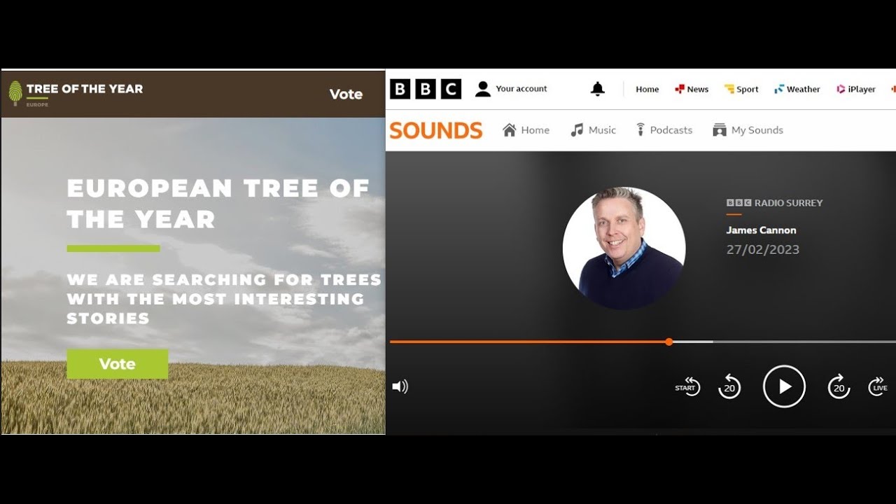 Tree of the Year 2023 (Europe) on Radio Surrey