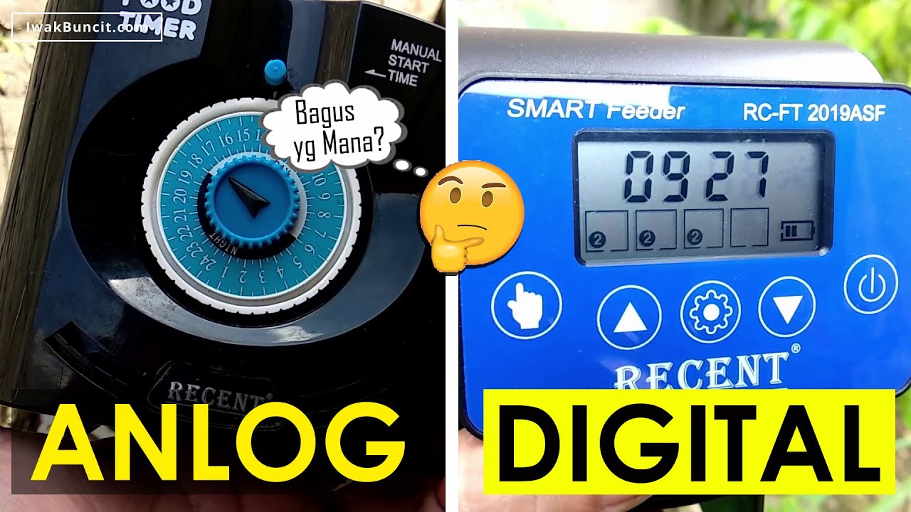 Food Timer Analog atau Digital Sekalian? Apa Bedanya? Mana yang Bagus untuk Ikan Mas Koki?