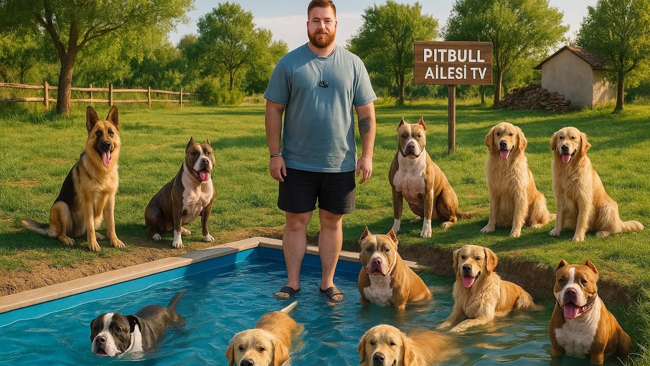KÖPEKLERE ÖZEL HAVUZ HAZIRLIYORUM! KEPÇEYLE KAZDIRDIM