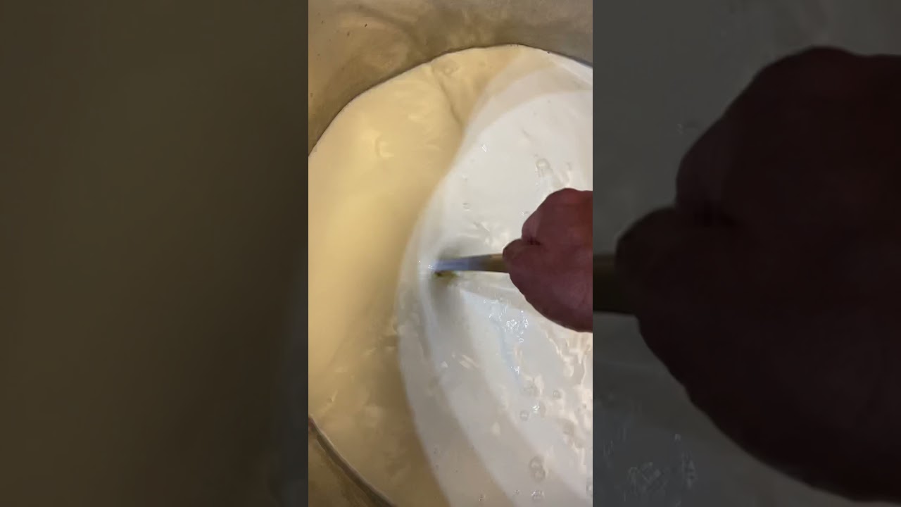 Making Sheep Milk Cheese