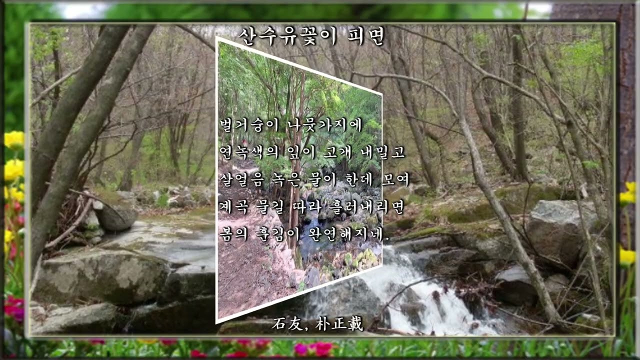 산수유꽃이 피면