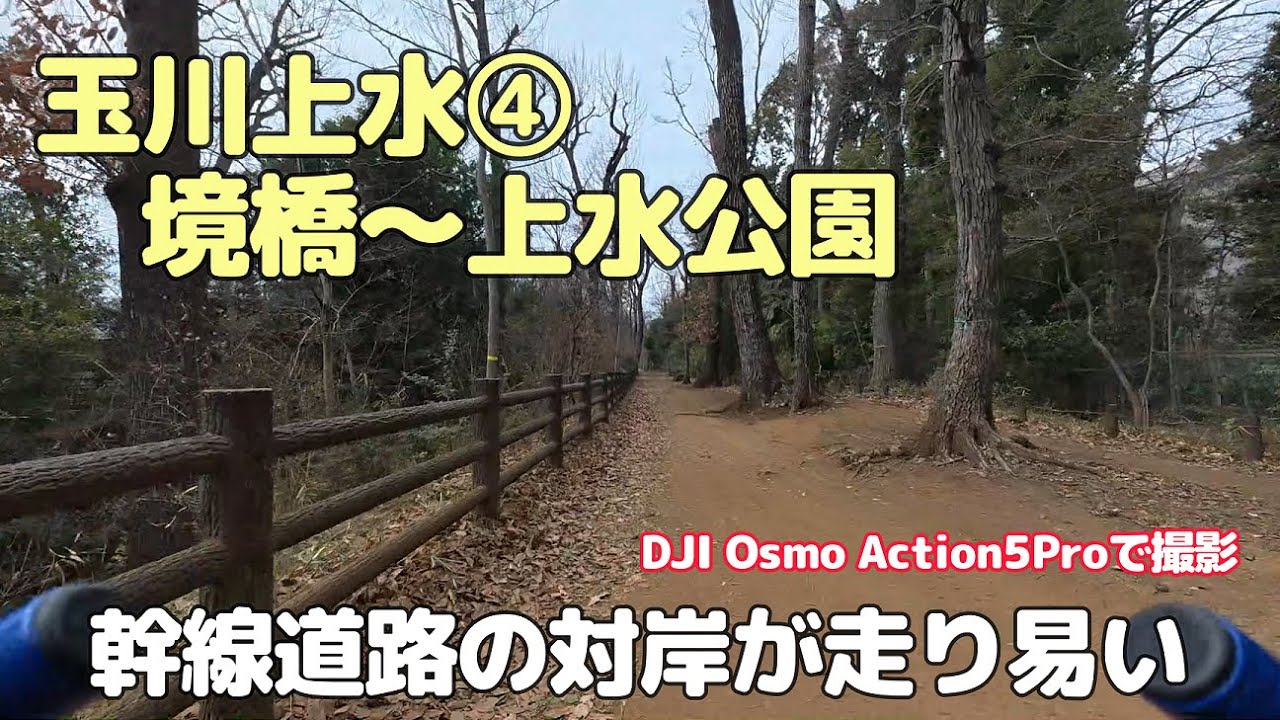 玉川上水④　境橋～上水公園　幹線道路の対岸が走り易い（20260120）