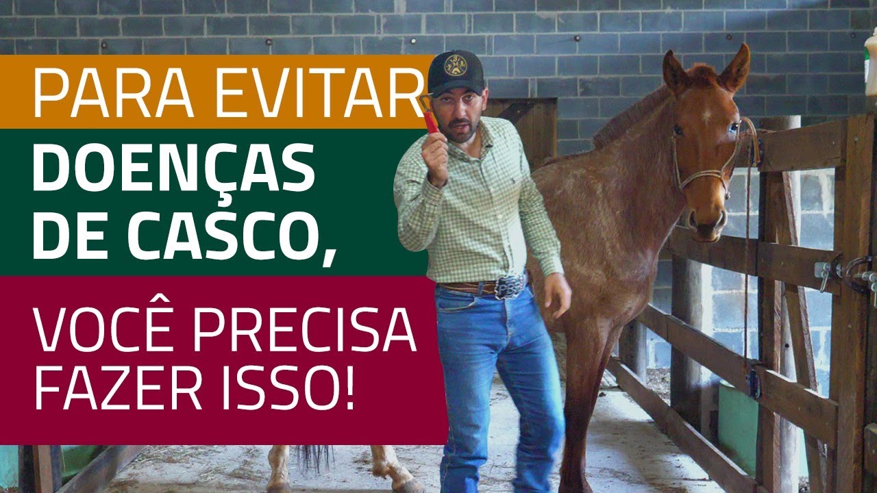 Se você não quer que seu cavalo tenha alguma doença de casco, faça isso!