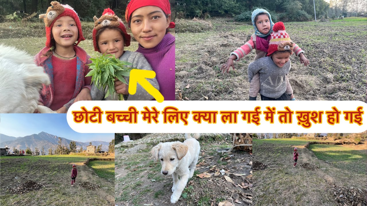 🤱खेतों मैं मिले मर्को छोटे छोटे बच्चे आख़िर क्यौ रो😢 पड़े मर्को घर आते समय 🙇🏻‍♀️