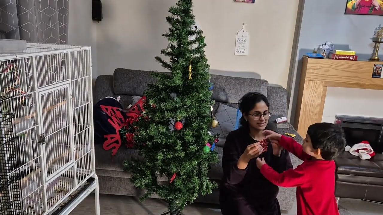 Putting our Christmas Tree up