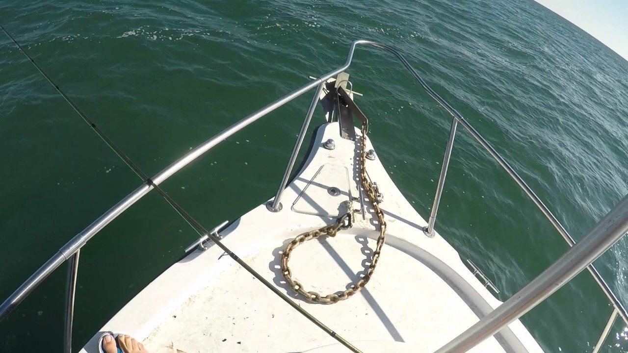 Drifting Lake Erie Walleyes!
