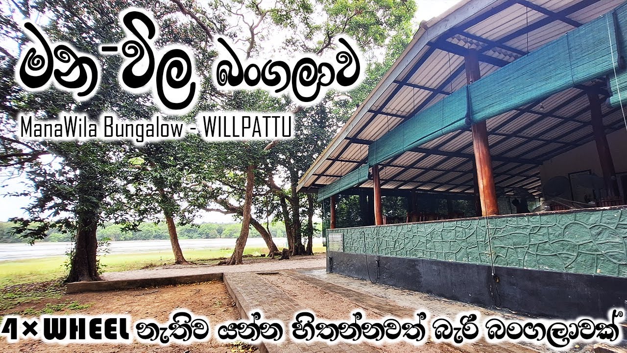 මනවිල | Manawila bungalow | Review | Wilpattu National Park | Sri Lanka