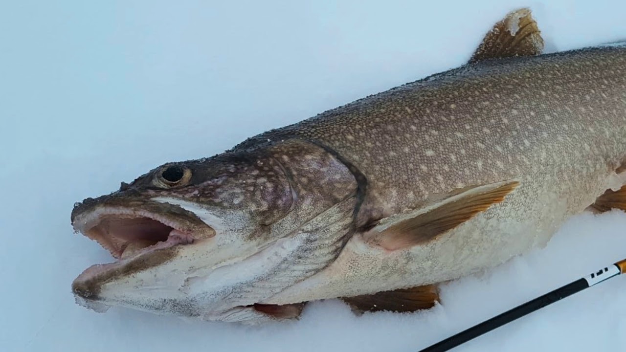 Eisfischen Silsersee 2018