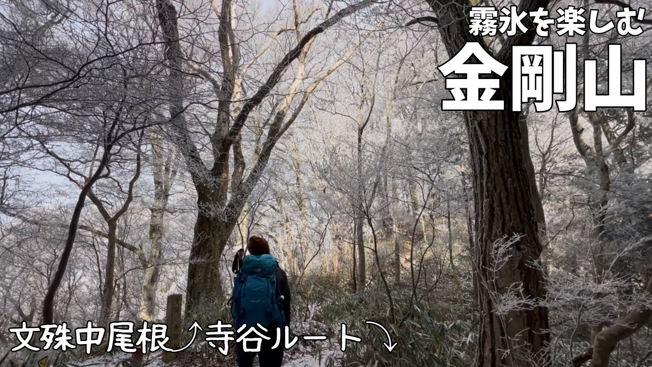 【夫婦登山】霧氷を求めて金剛山へ〜文殊中尾根ルートで登り、寺谷ルートで下山します【公共交通機関登山】