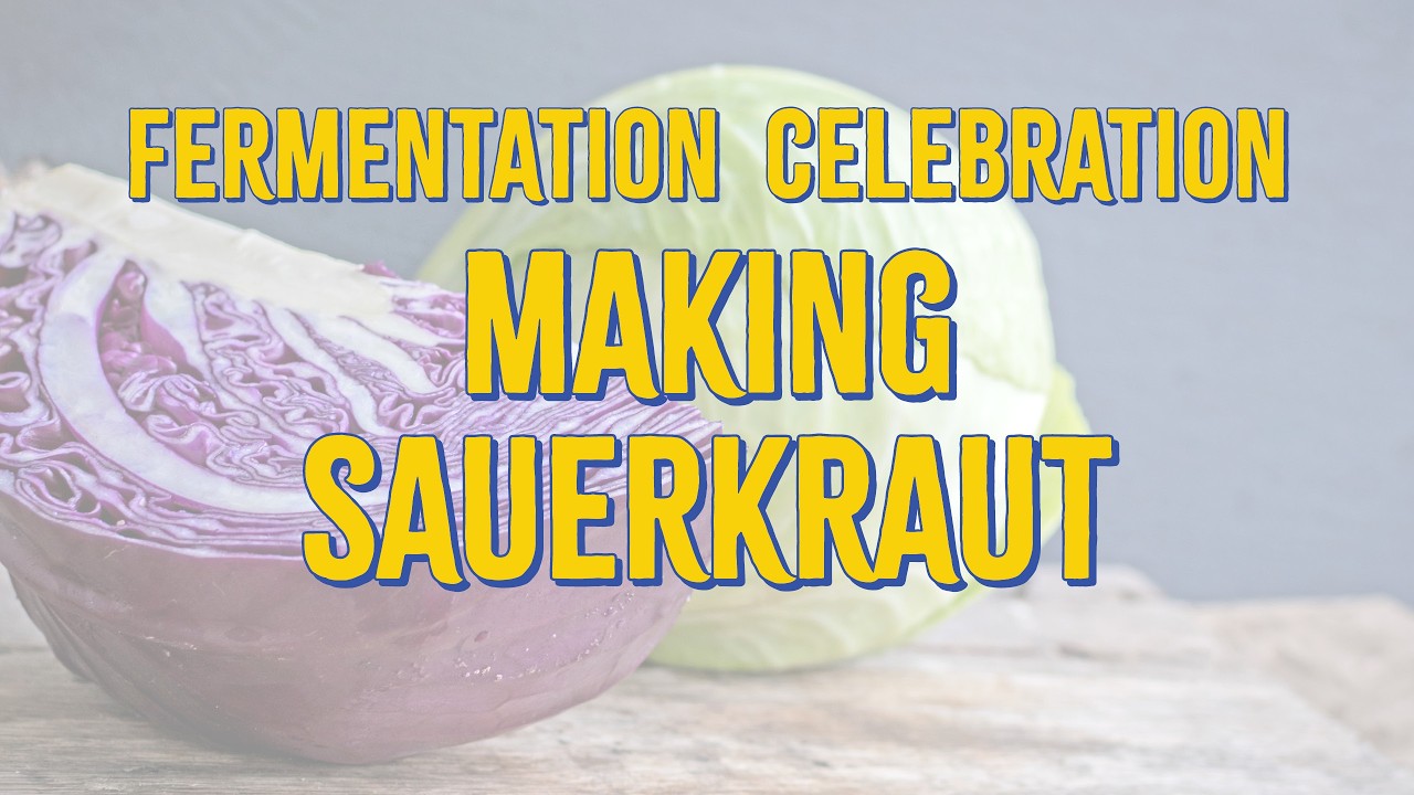 How to Make Sauerkraut at Home (Easy Fermentation for Beginners)