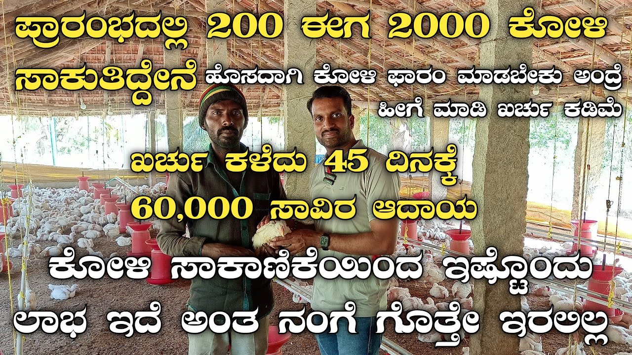 ಕೋಳಿ ಸಾಕಾಣಿಕೆ|Koli farm|chicken farming kannada|Koli farm kannada|brayler chicken|Chicken|Koli|