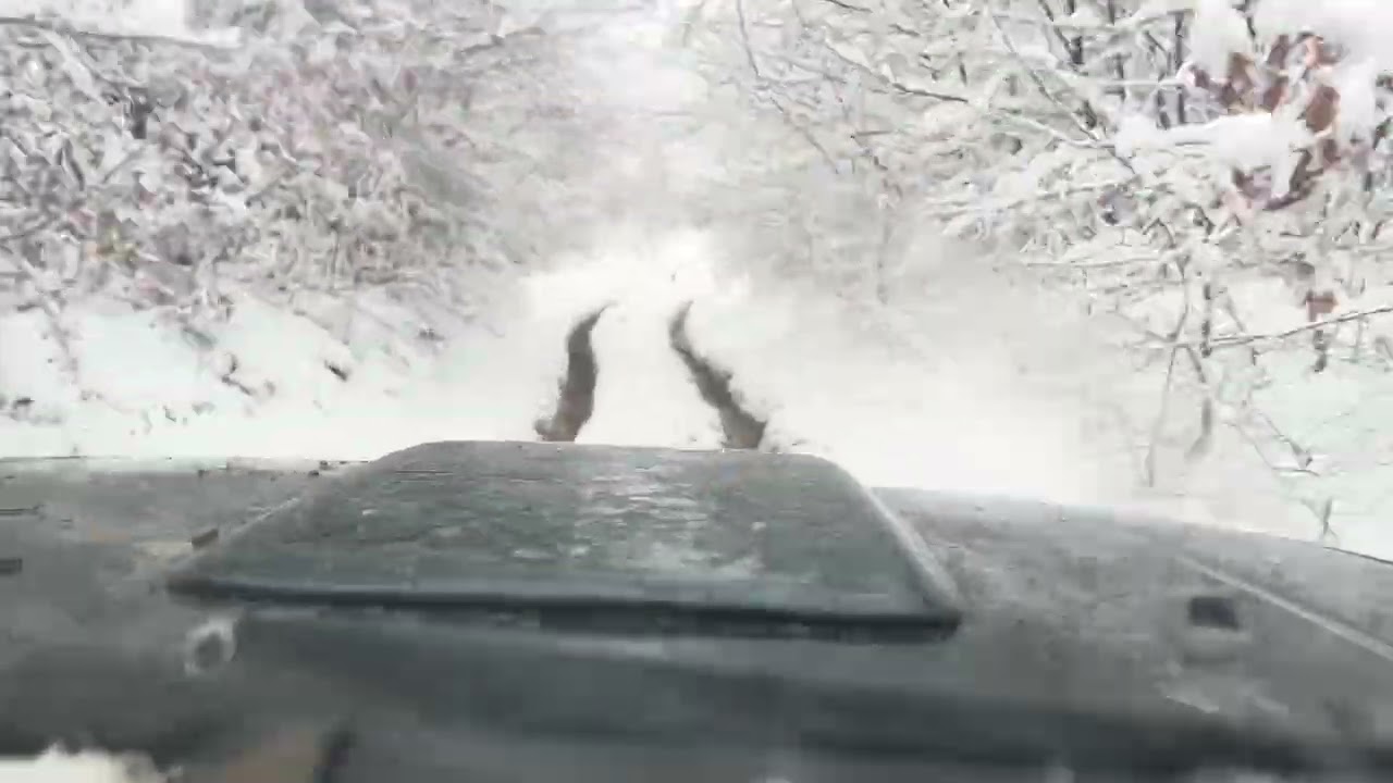 Winter Magic Through the Windshield of Nissan Patrol Y61 – Off-Road Adventure
