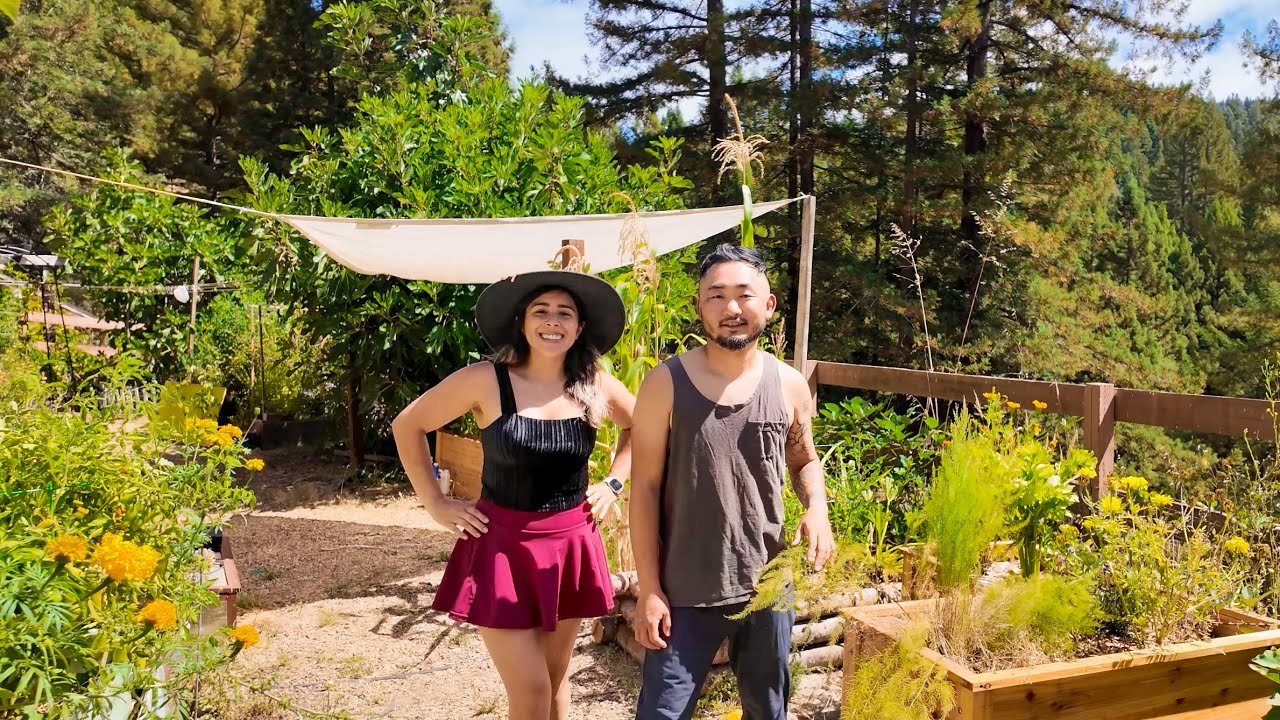 Everything We've Built at the Homestead | 1 year