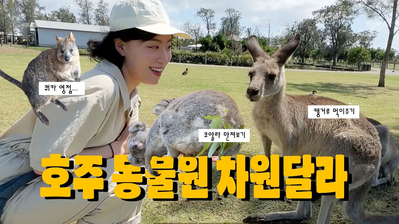 시드니 여행 필수 코스 🇦🇺Ep2. 오크베일 동물원 & 포트스테판 투어 솔직 후기