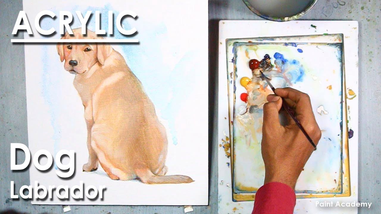 Acrylic Painting : Dog(Labrador)