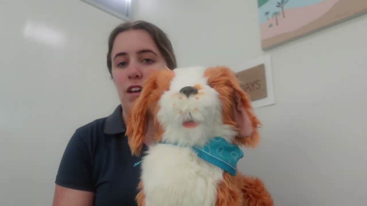 Joy for All Companion Pet Pup