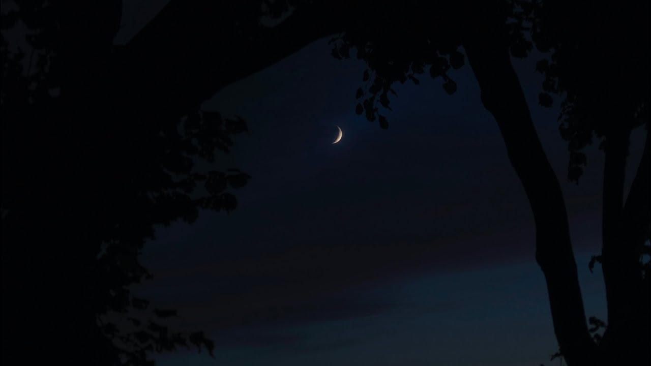 [Playlist] 감히 물어보고 싶어요. 당신도 이 같은 밤에는 우시는지.