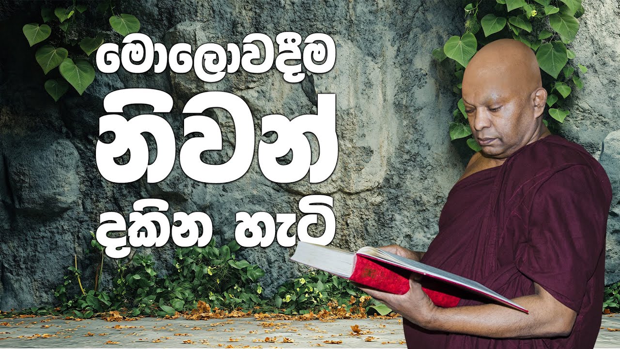 මොලොවදීම නිවන් දකින හැටි