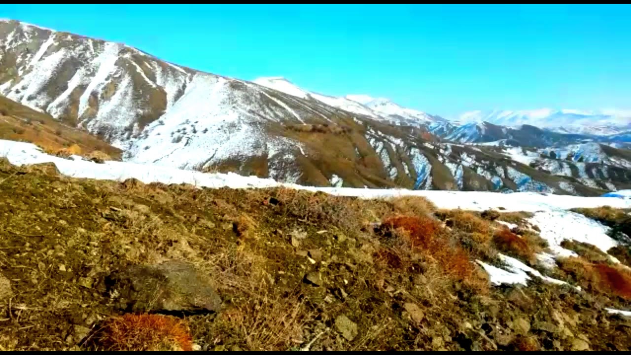 Bing&ouml;l Karlıova kızıl&ccedil;ubuk