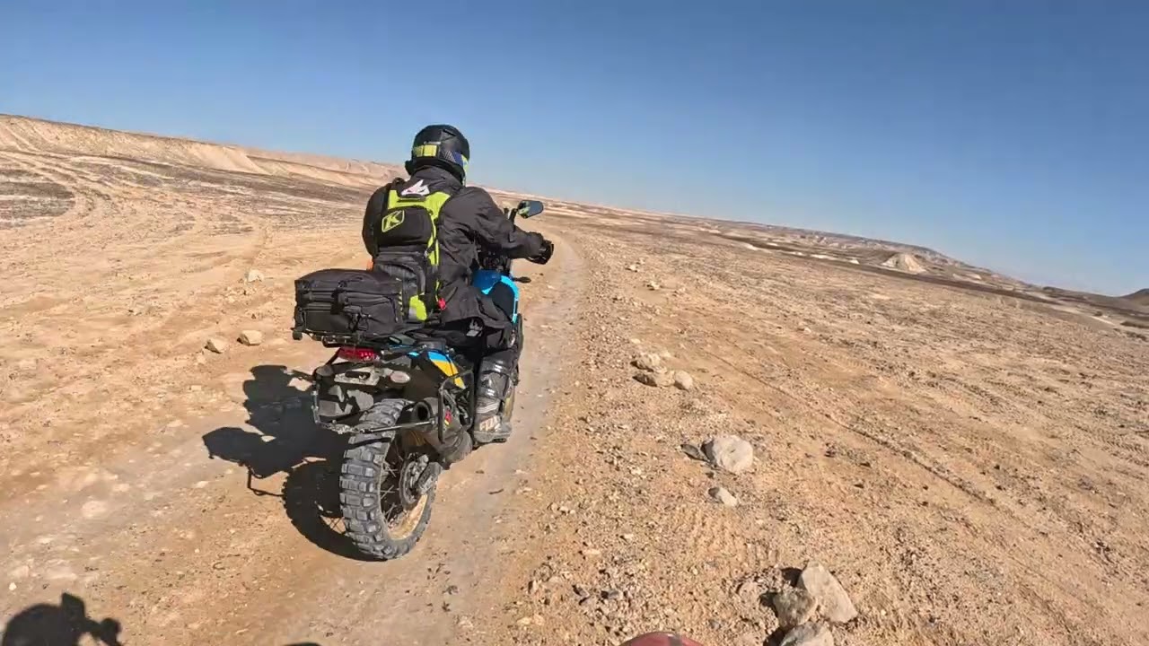גב זרחן בקצב מהיר
