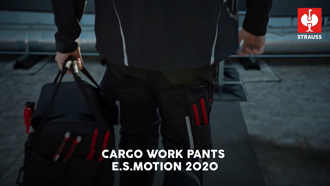 STRAUSS e.s.motion 2020 Work Pants &mdash; The Tool You Wear