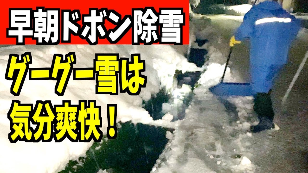 2024-02-06 関東大雪警報の朝、魚沼は最高に除雪しやすいグーグー雪で気分爽快！パパさんダンプで水路にドボン除雪！ Snow removal ASMR