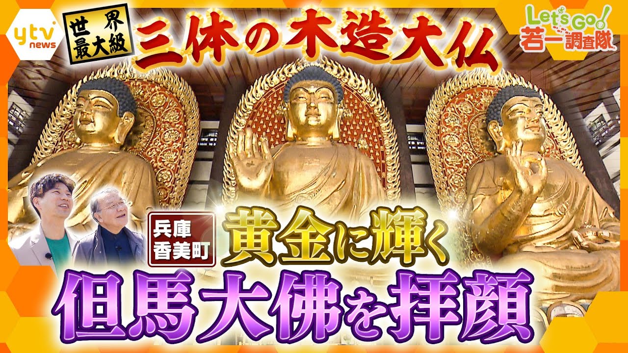 【若一調査隊】兵庫県の山奥に世界最大級の木造三大佛が！仁王像・五重塔・大仏殿…全てが巨大な境内に坐する黄金の「但馬大佛」建立の秘密と魅力