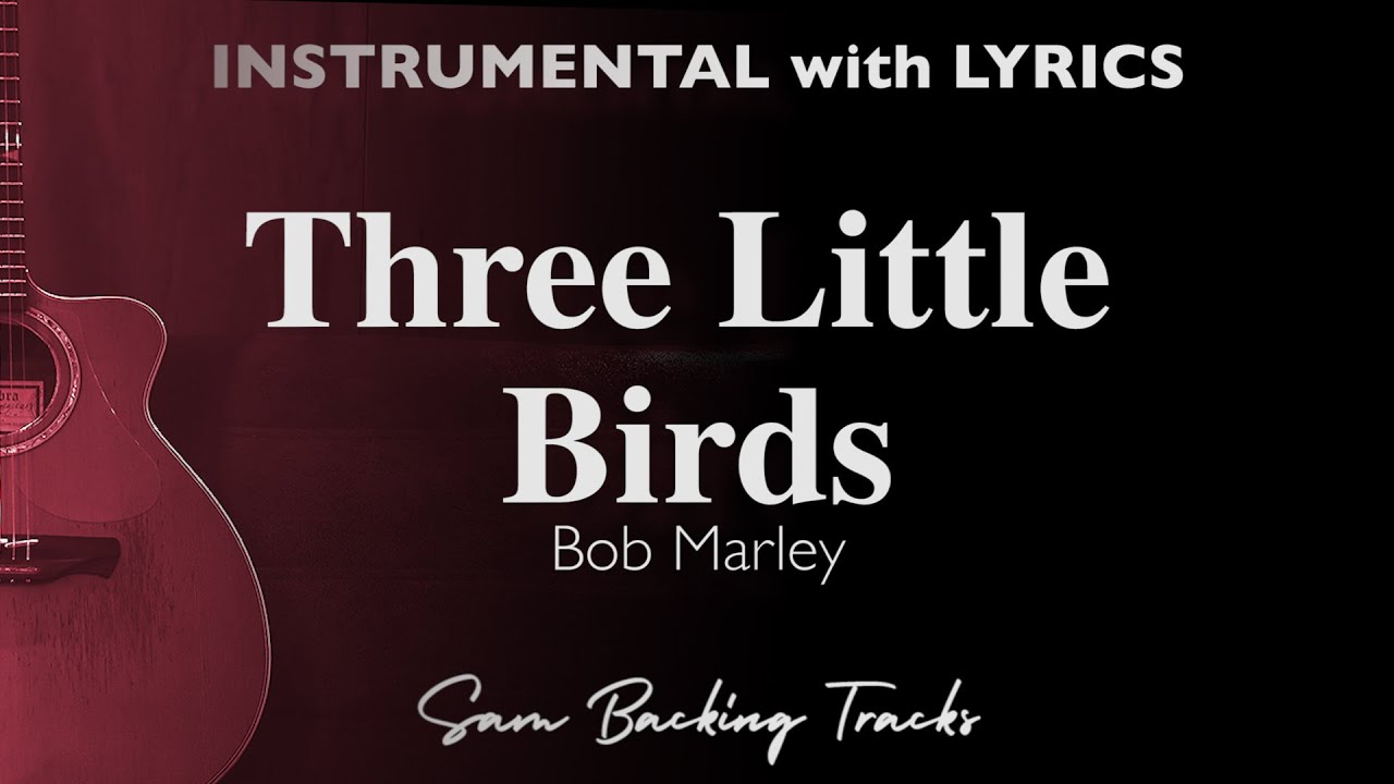 Three Little Birds - Bob Marley (Acoustic Karaoke) ©
