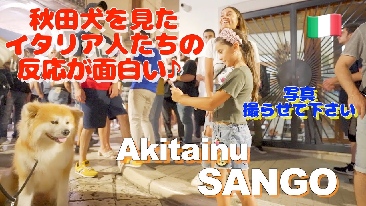 It's funny how Italians react when they see an Akita dog♪