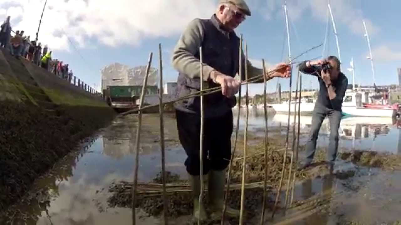 Planting the Penny Hedge 2015 filmed by Doc Rowe