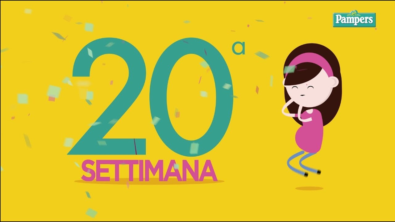 20&deg; settimana di gravidanza