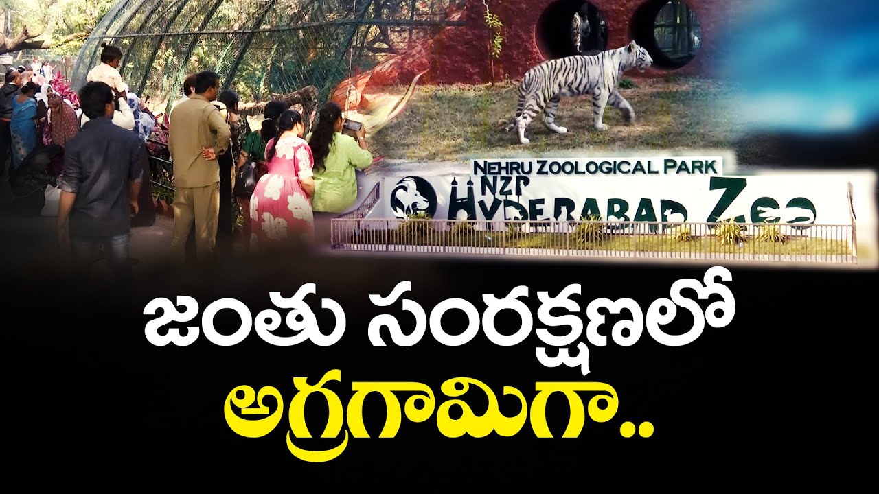 Nehru Zoological Park Leads in Wildlife Conservation | జంతు సంరక్షణలో అగ్రగామిగా నెహ్రూ జూ పార్క్