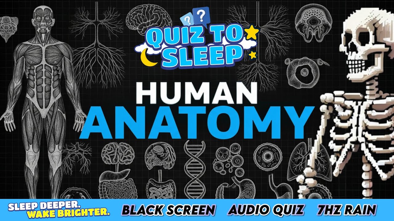 Human Anatomy - Quiz To Sleep 💤 | Sleep Deeper. Wake Brighter. (Black Screen + Rain)