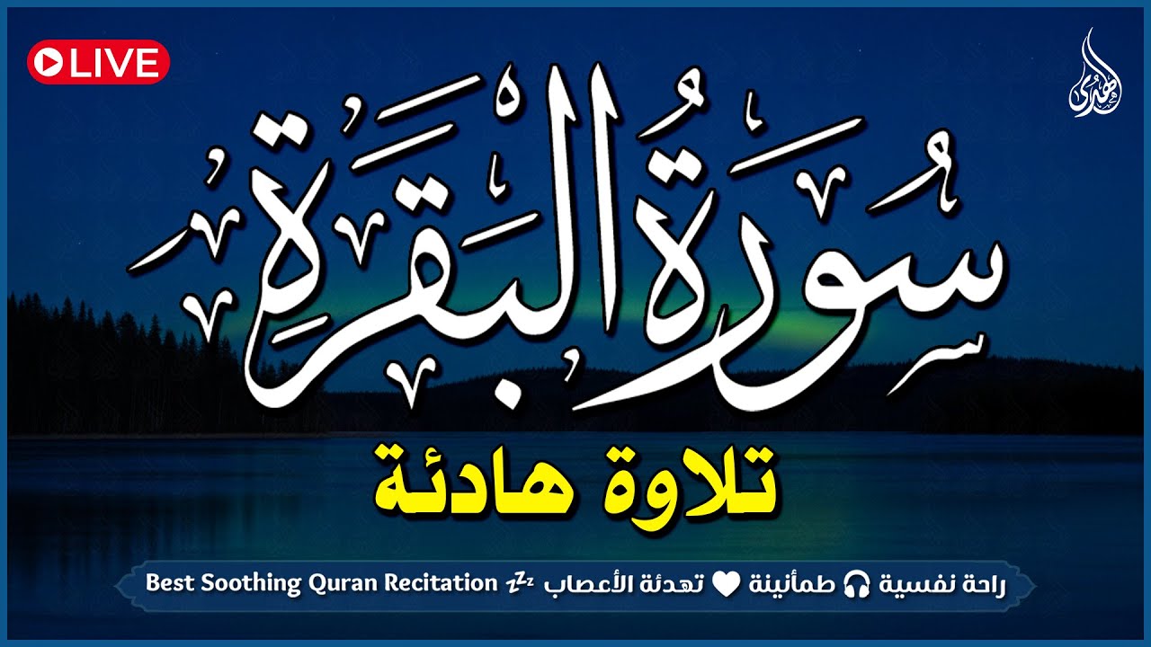 قرآن رمضان ☀️ سورة البقرة (كاملة) قران كريم لحفظ و تحصين المنزل وجلب البركه والرزق Surah Al-Baqarah