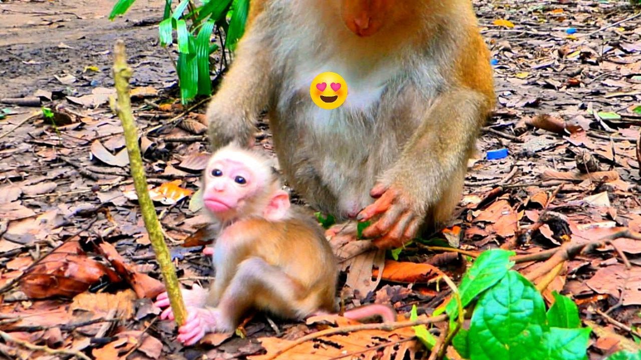 Heartfelt First Moment! Newborn Jacee Gets Upset Waiting for Mommy Joyce's Feeding Time.