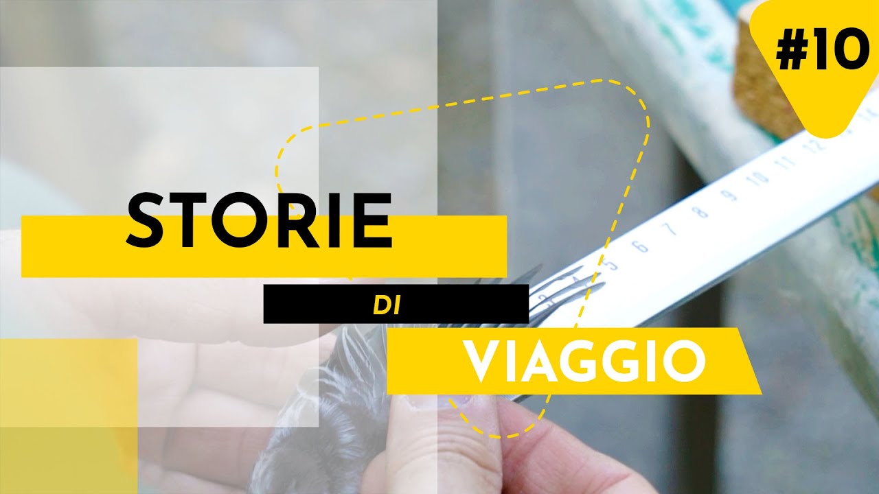 UCCELLI, MIGRAZIONE E INANELLAMENTO A SCOPO SCIENTIFICO | DOCUMENTARIO