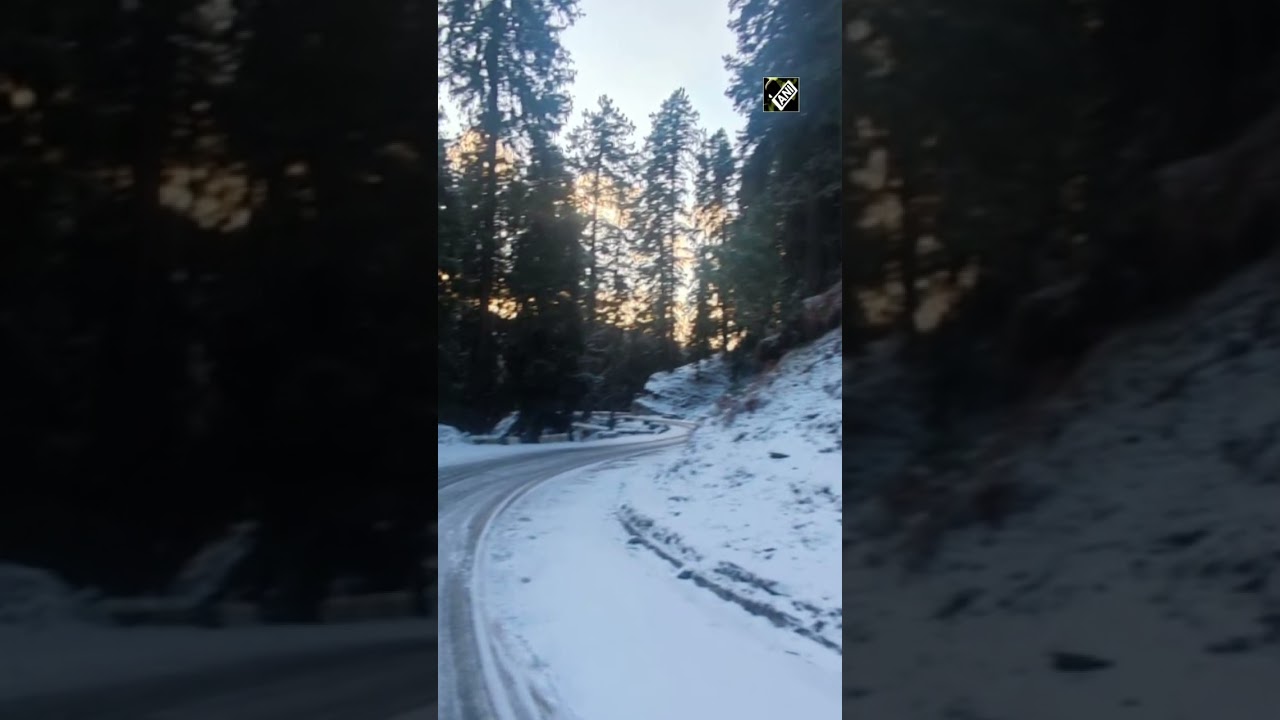 Shimla turns pearly white with fresh snowfall | #Shimla #Snowfall #HimachalPradesh