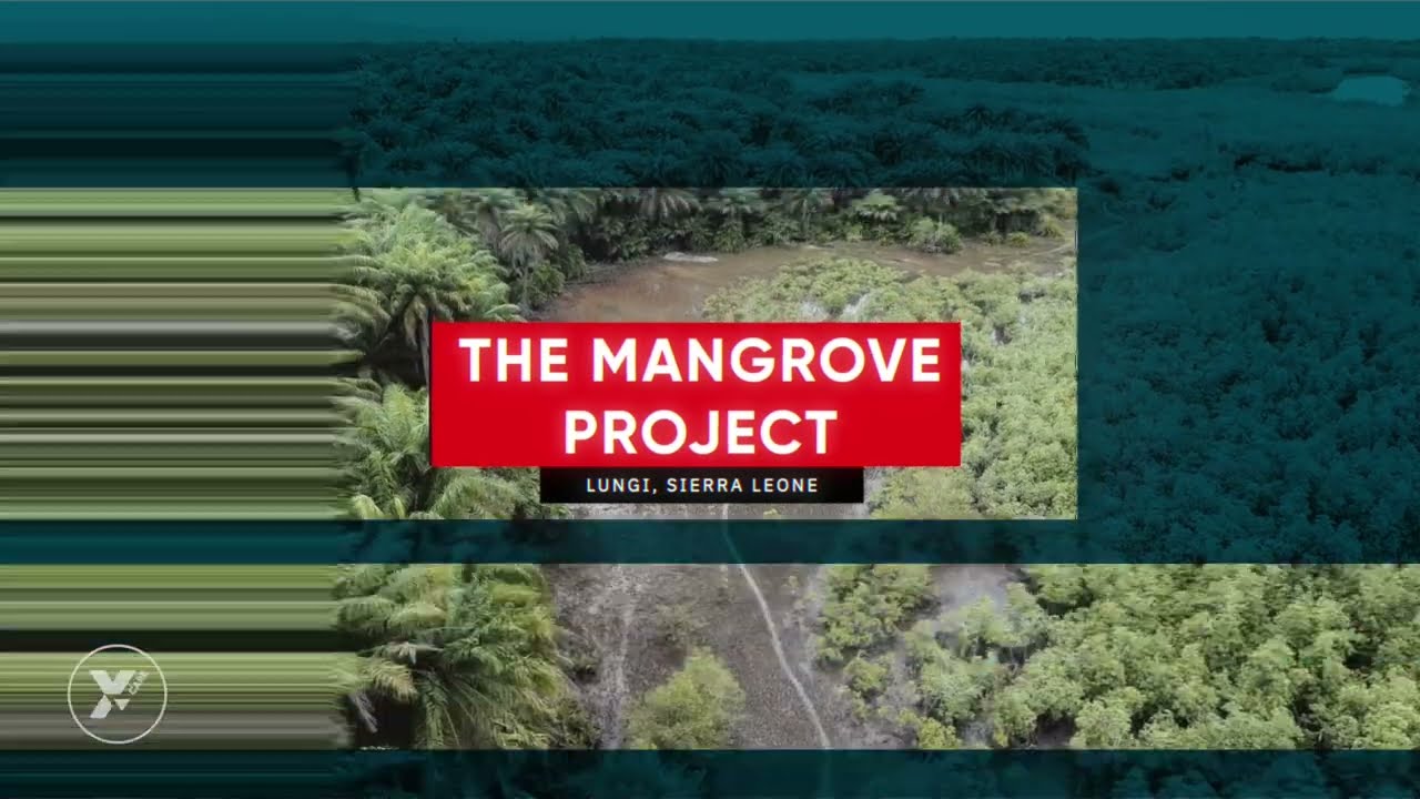 The Mangrove Project: Lungi, Sierra Leone