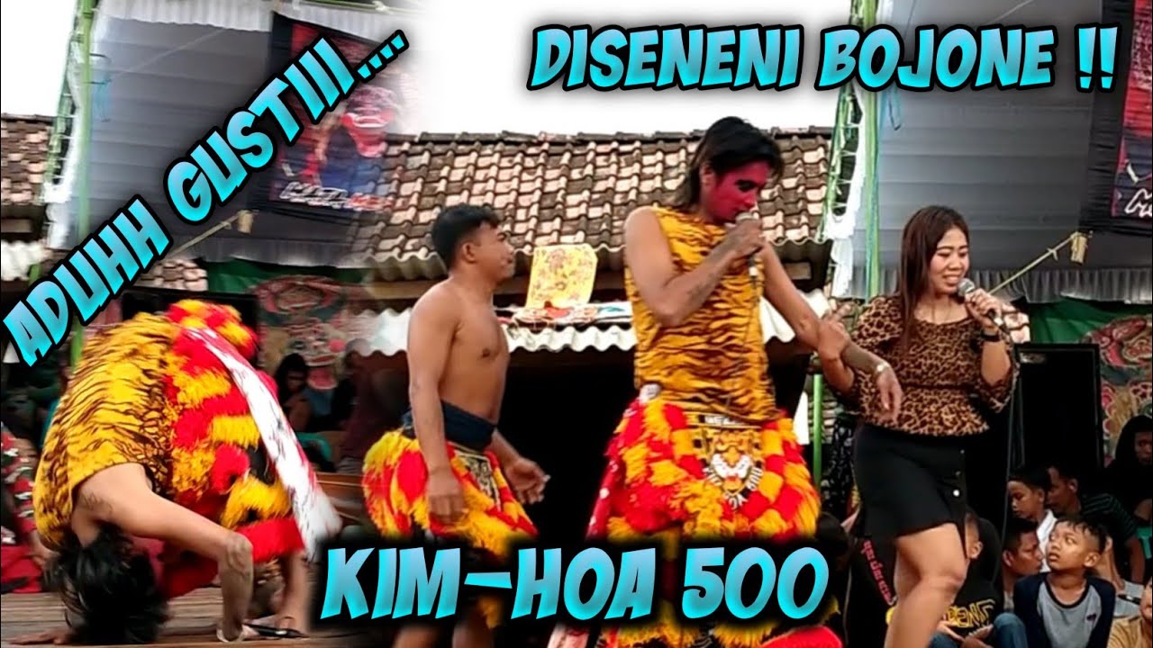 LUCUU❗MAS MENJENG KIM HOA DISENENII BOJONE - ROGO SAMBOYO PUTRO LIVE JOHO NGASEM