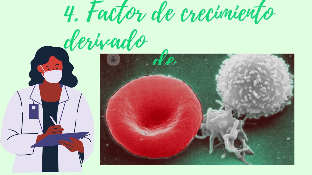 Proliferaci&oacute;n celular, factores de crecimiento y regeneraci&oacute;n tisular