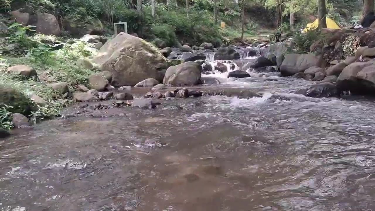 Suara sungai relaksasi penghilang stres, kembali ke alam
