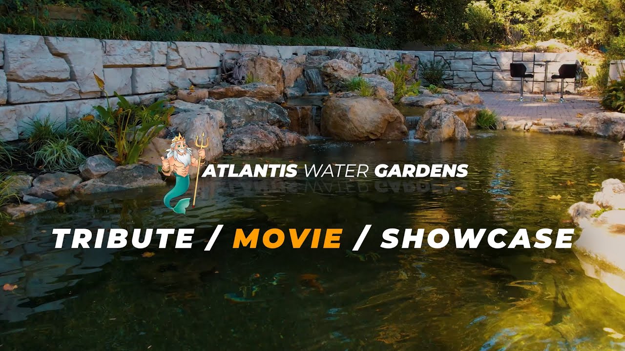 We Build Waterfalls & Ponds. But It’s Never Just Water. | AWG Movie