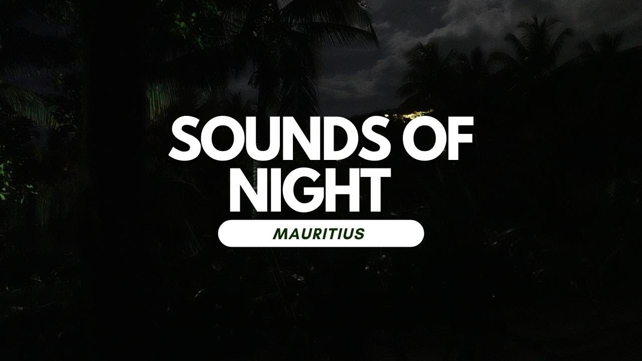 Sounds of night in Mauritius 🦇🌴🐸 Ambient ASMR bats squeaking toads calling 4K nature relaxing noises