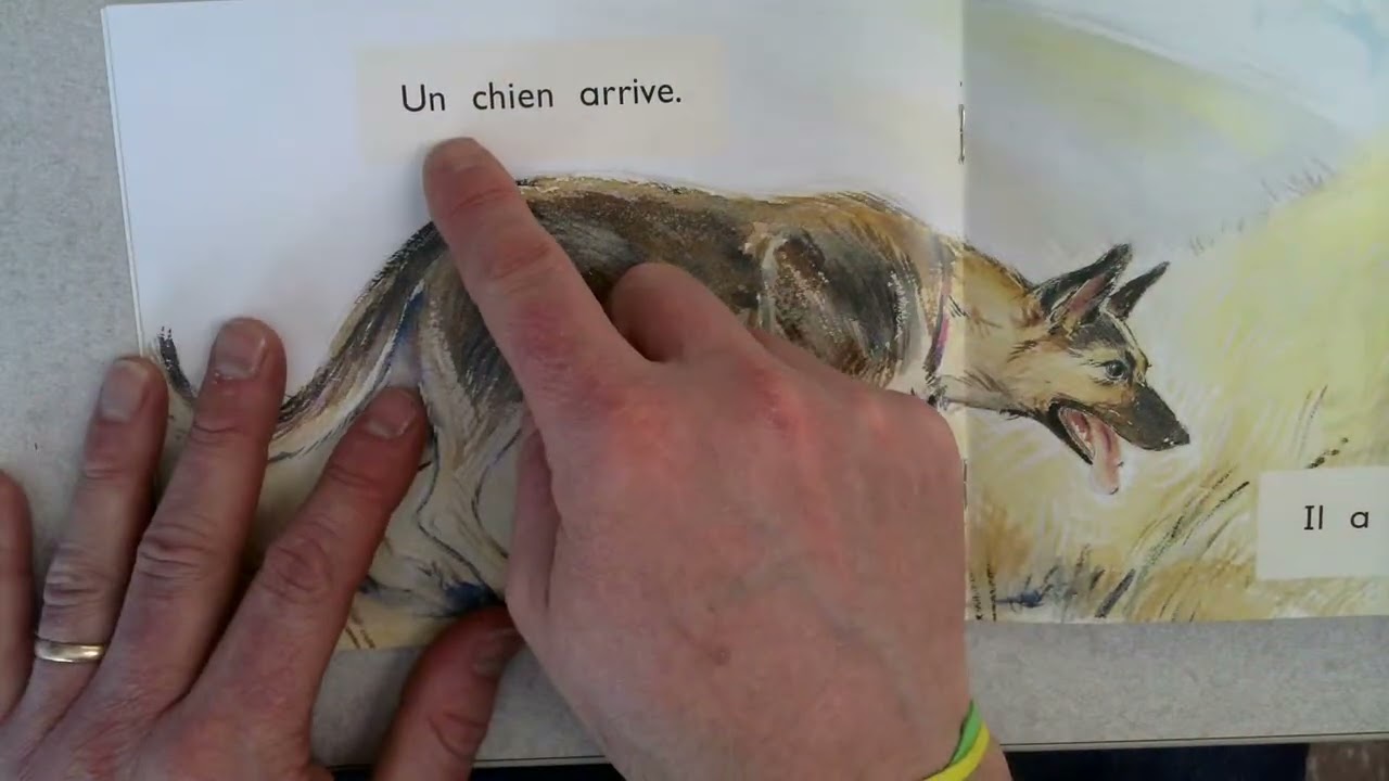 Cours, lapin, cours!