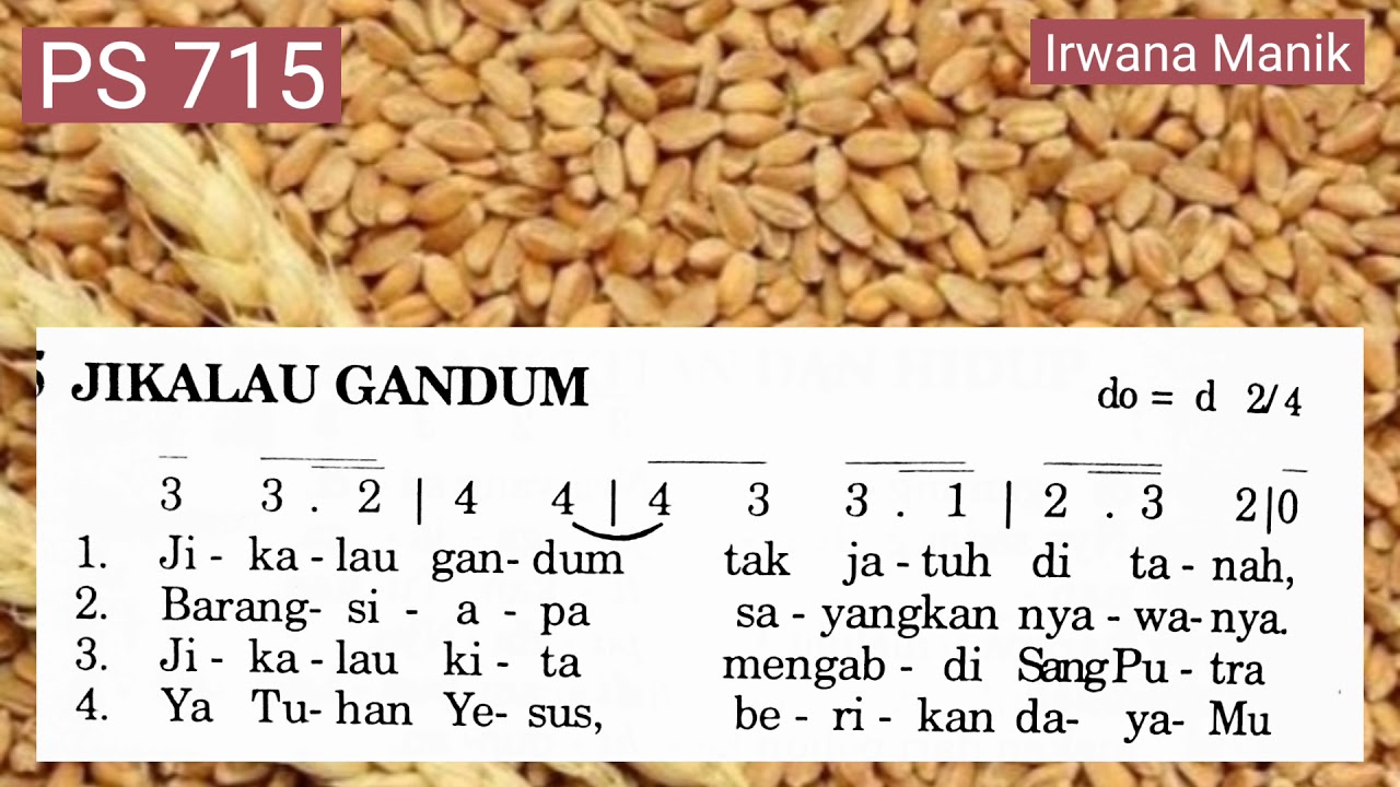 Puji Syukur 715 🌾🌾 JIKALAU GANDUM 🌾🌾@irwanamanik3955