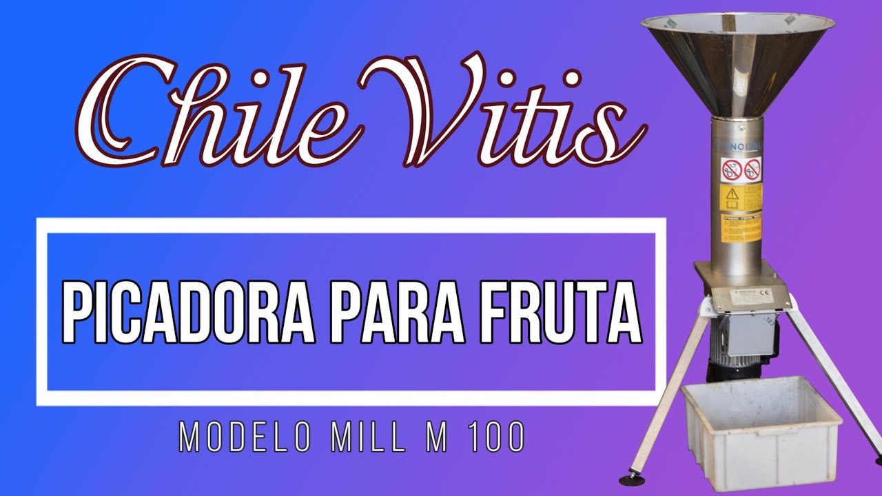 Picadora de Frutas (4K)