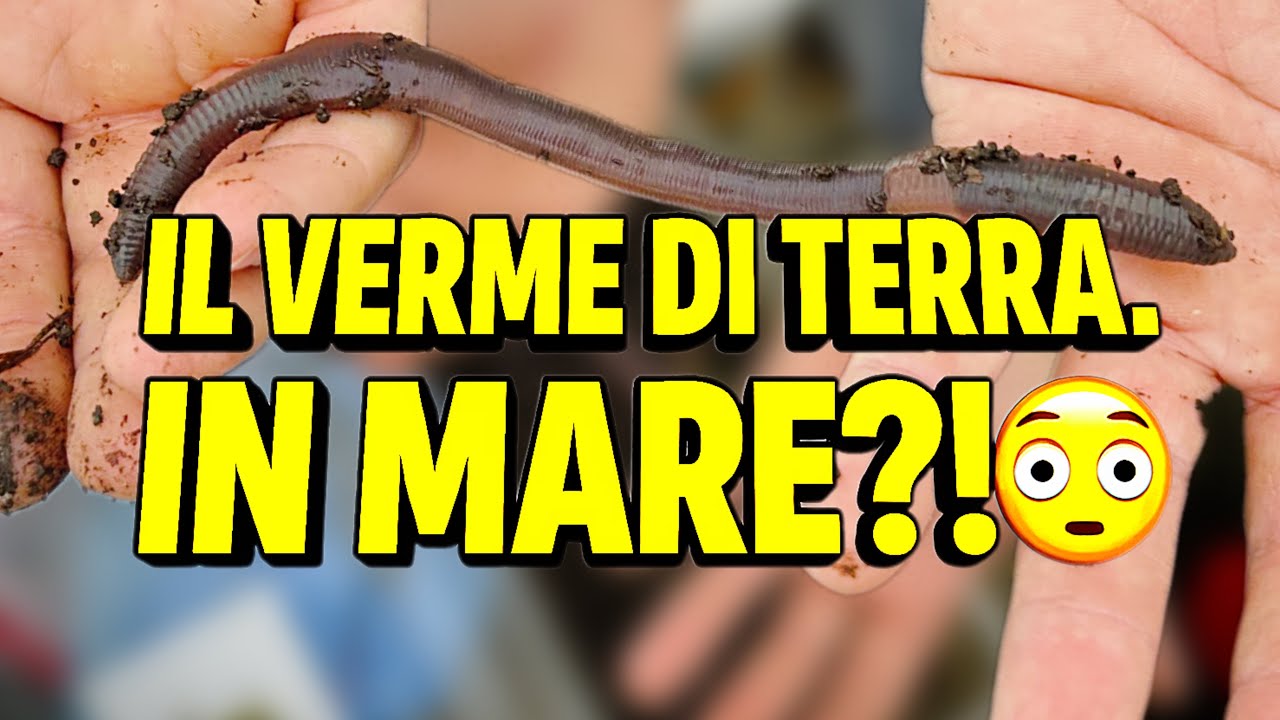 Uso Il VERME DI TERRA In MARE: Funziona Davvero?! 🎣 (Esperimento di Pesca Incredibile) *Lombrico*