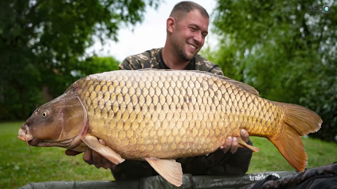 Bari Carp Lake SEDO Team