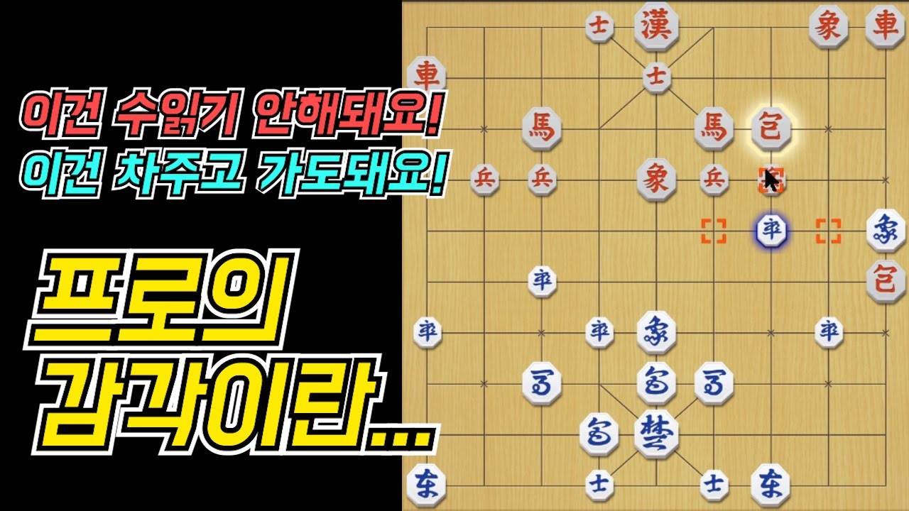 동물적인 감각.. 한국 장기 차 아냐.
